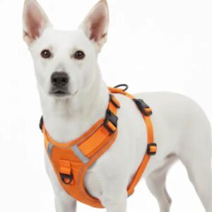 premium-no-pull-dog-harness-with-reflective-strips-adjustable-fit